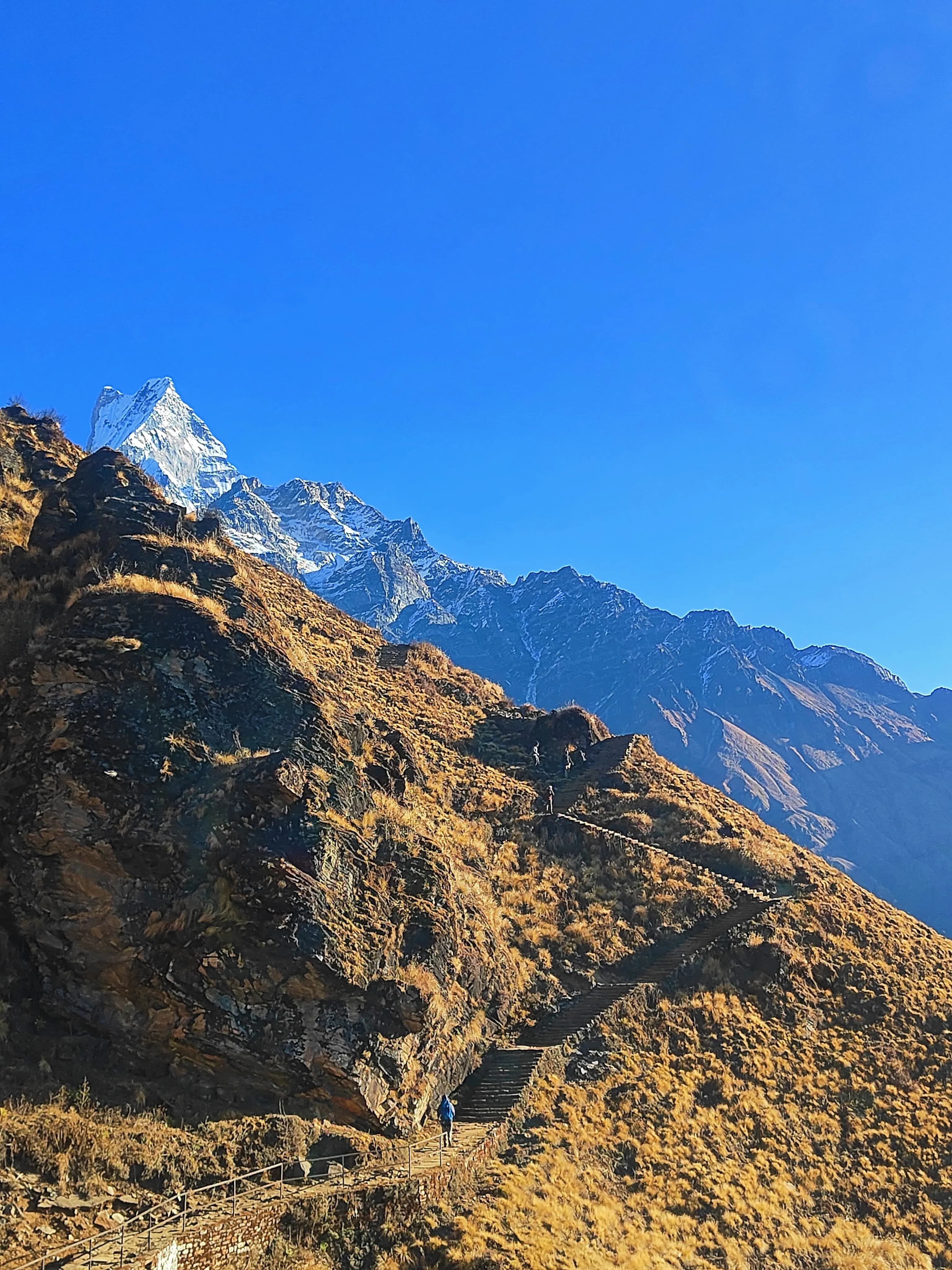 Nature Yoga Retreat