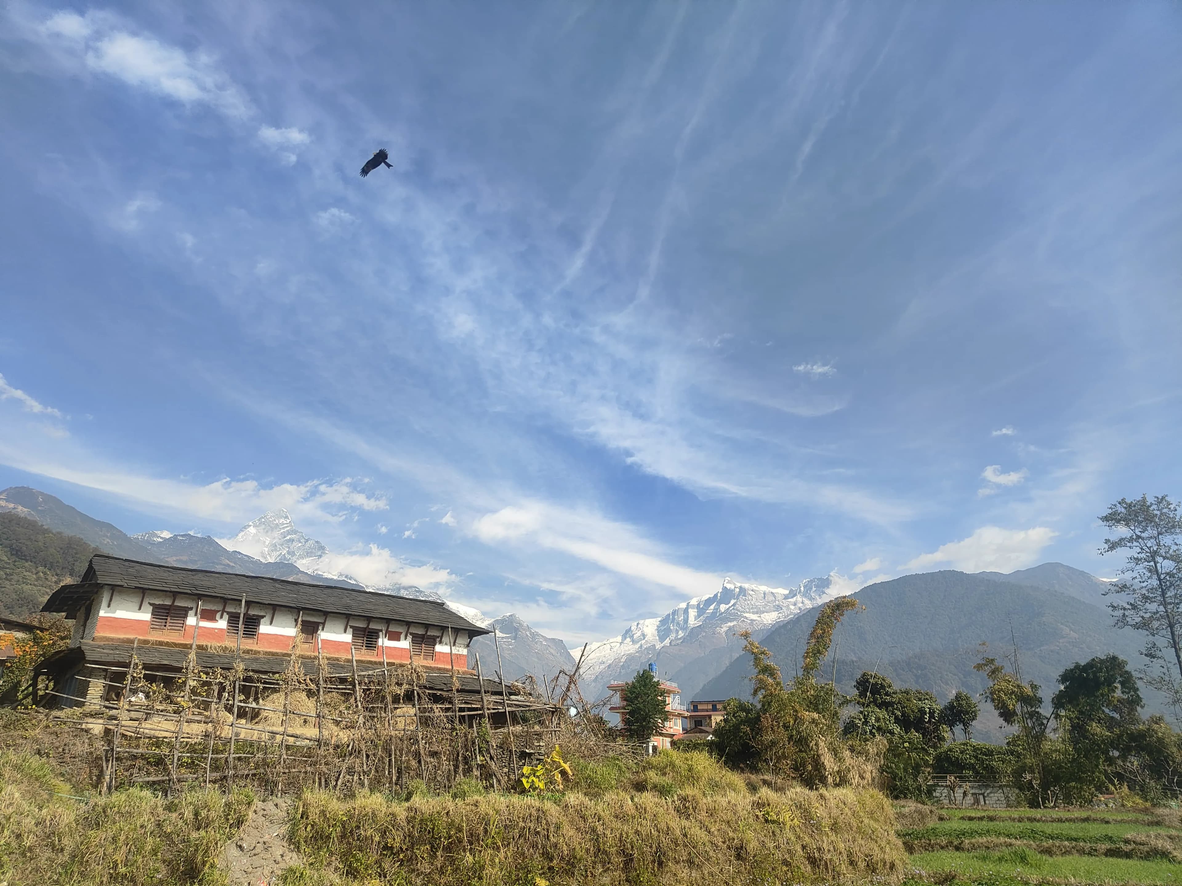 Home Stay Yoga Retreat