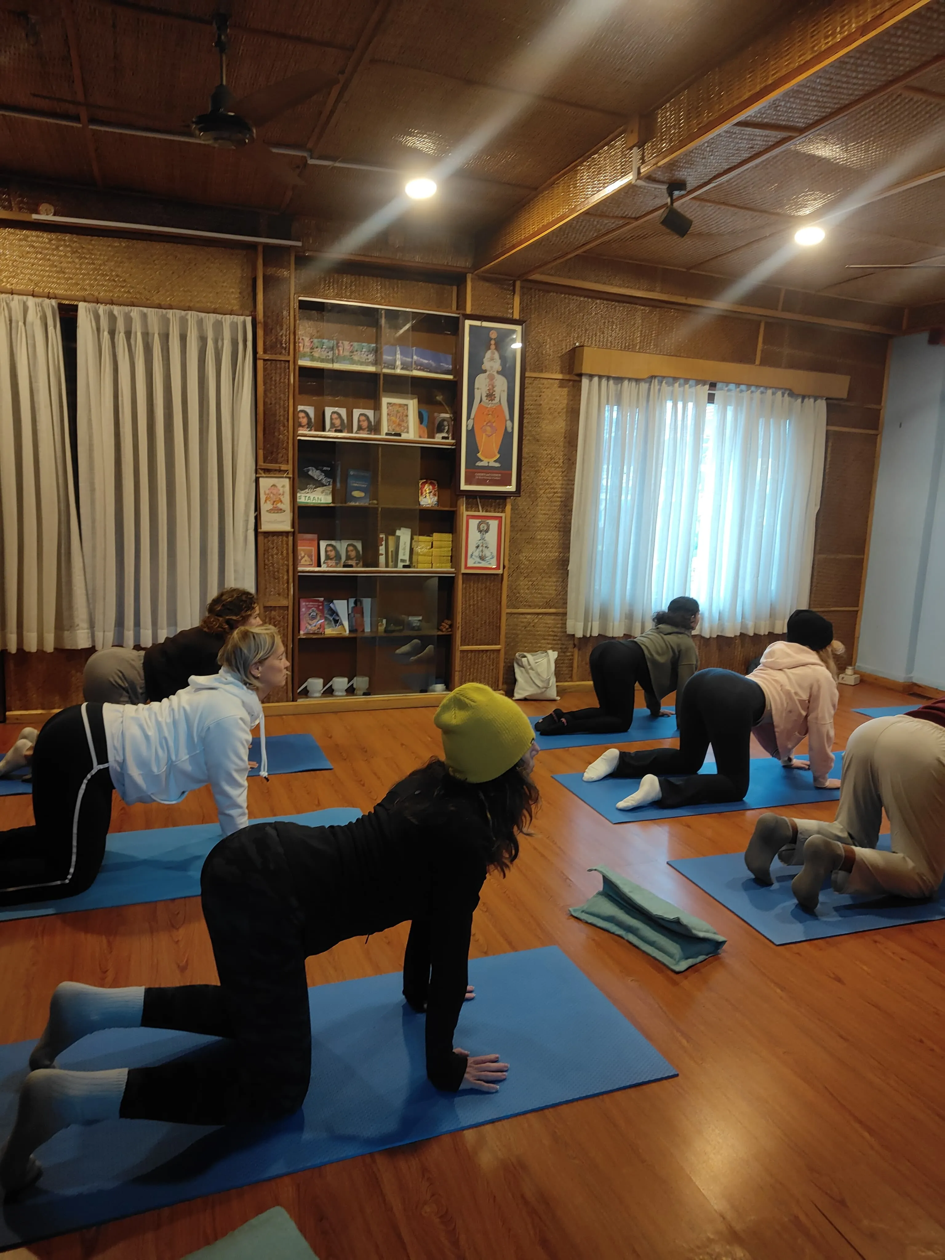 Detox Yoga Retreat