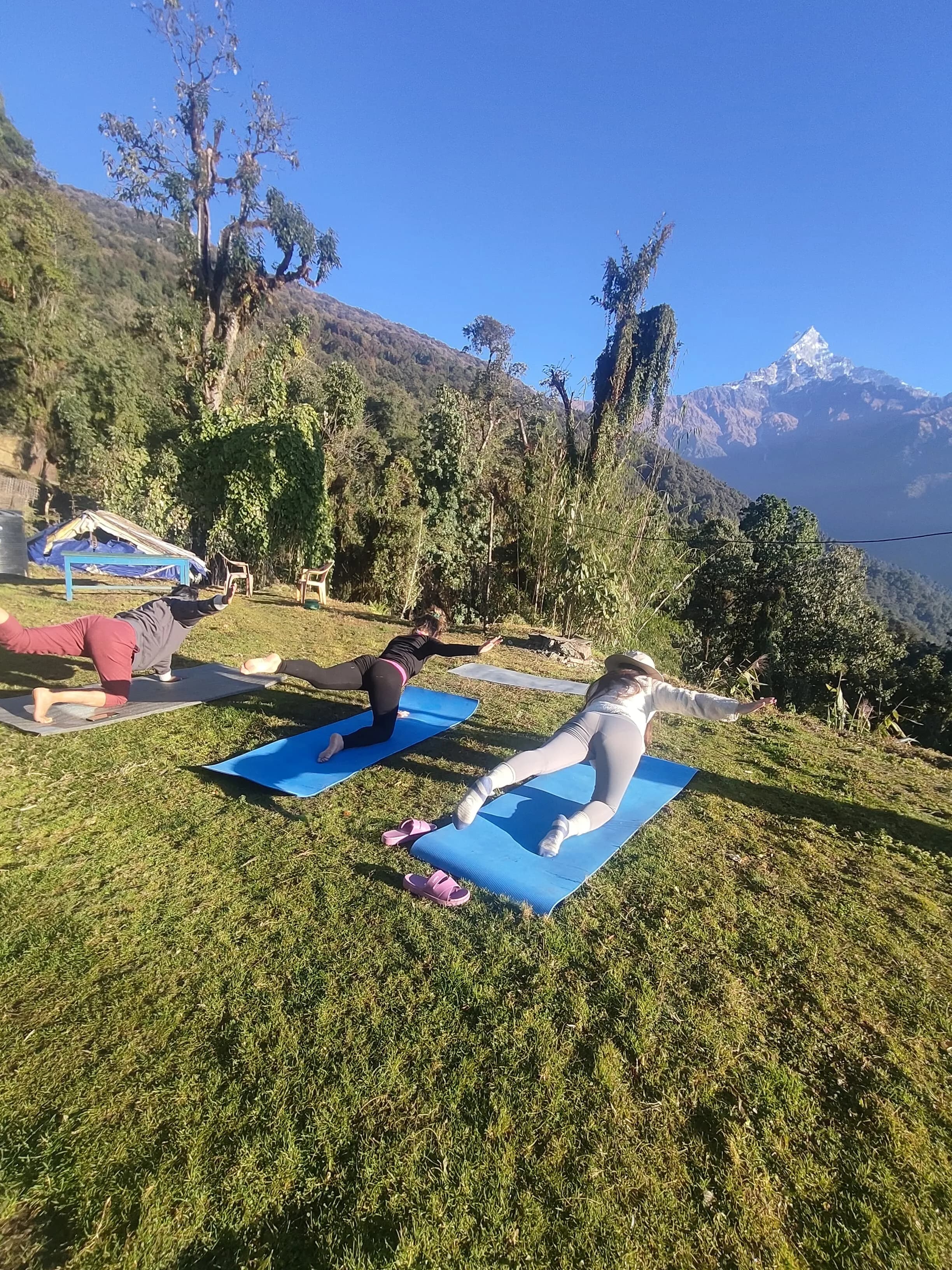 Intense Yogasana & Meditation Retreat